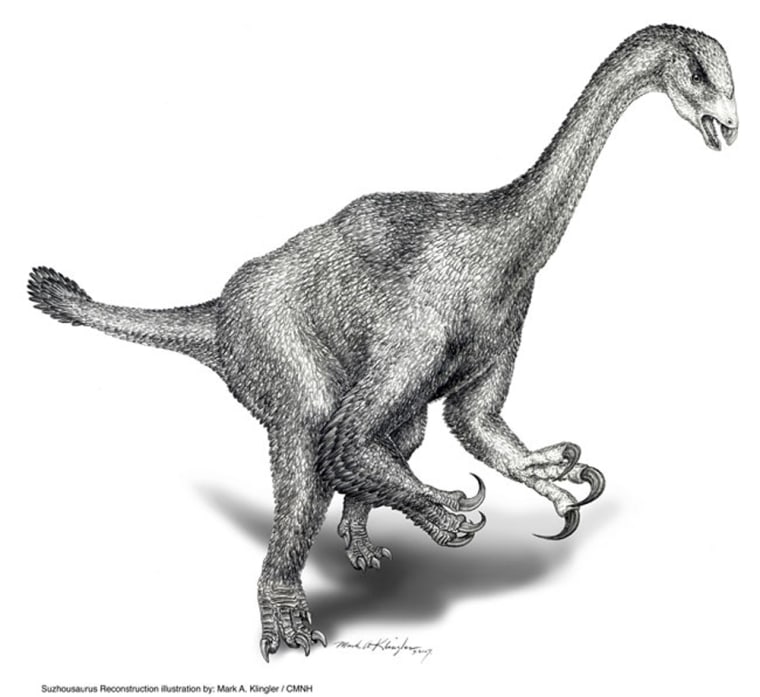 Life reconstruction of the new waddling plant-eating dinosaur from northwestern China, Suzhousaurus megatherioides. Credit: Mark A. Klingler, Carnegie Museum of Natural History