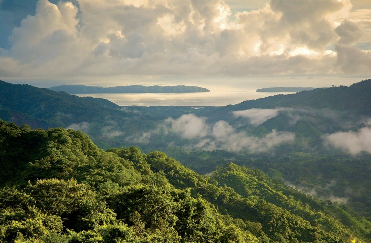 This view of Costa Rica's Osa Peninsula shows part of the forest that will be protected under a debt-for-nature swap.