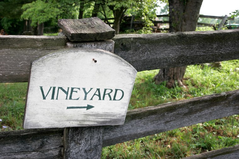 Virginia, Leesburg, Willowcraft Farm Vineyards, winery, grape, sign, direction, fence,