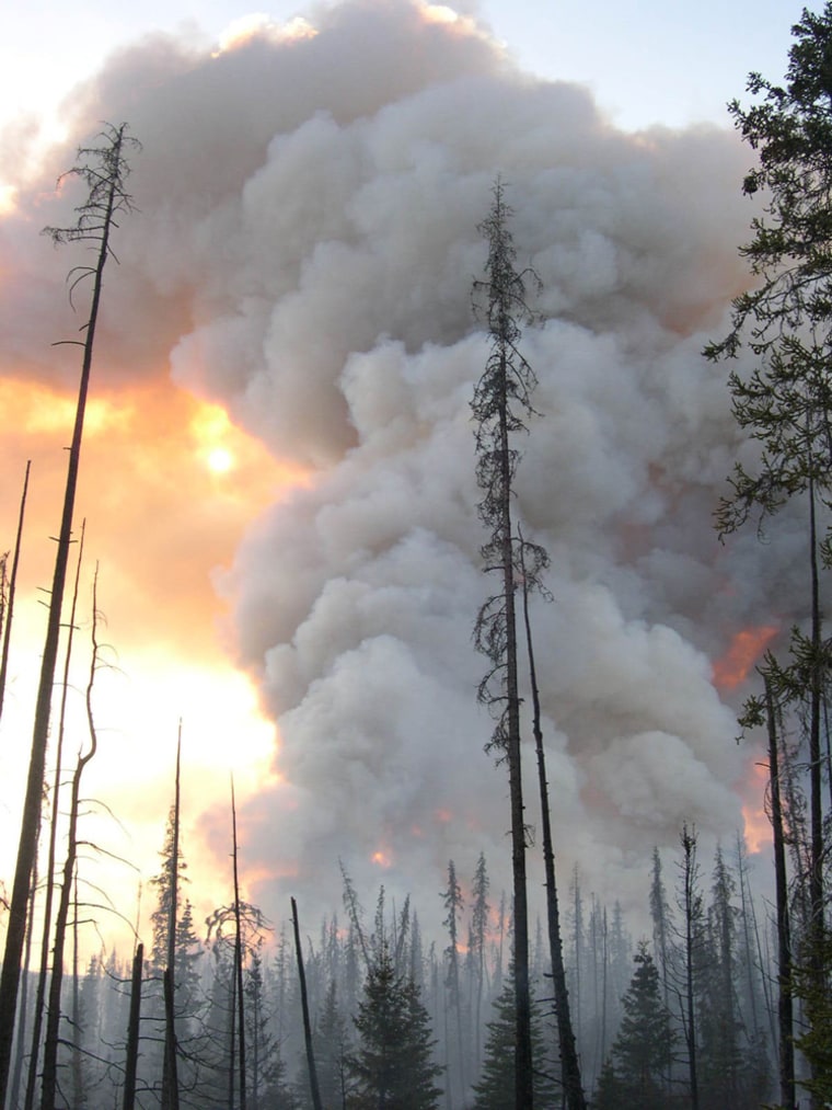 This fire northeast of Homer, Alaska, started last week — the earliest start to the region's wildfire season in recent memory.