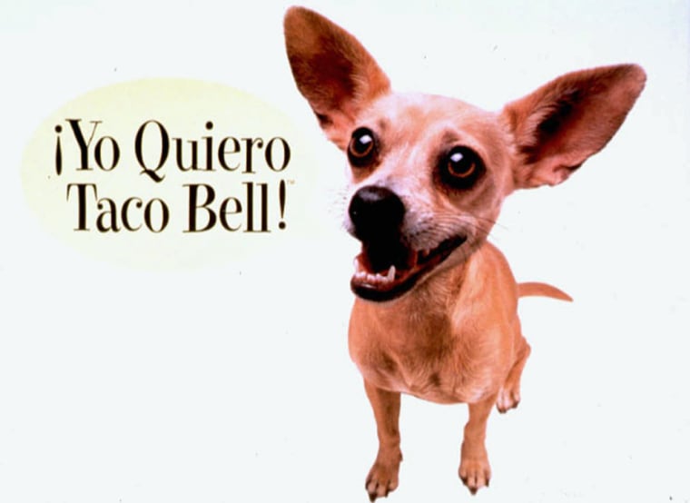 Image: Taco Bell Chihuahua.