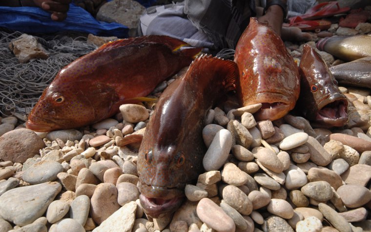 11/19/2007. ILLUSTRATION. The Socotra Island off the coast of Yemen