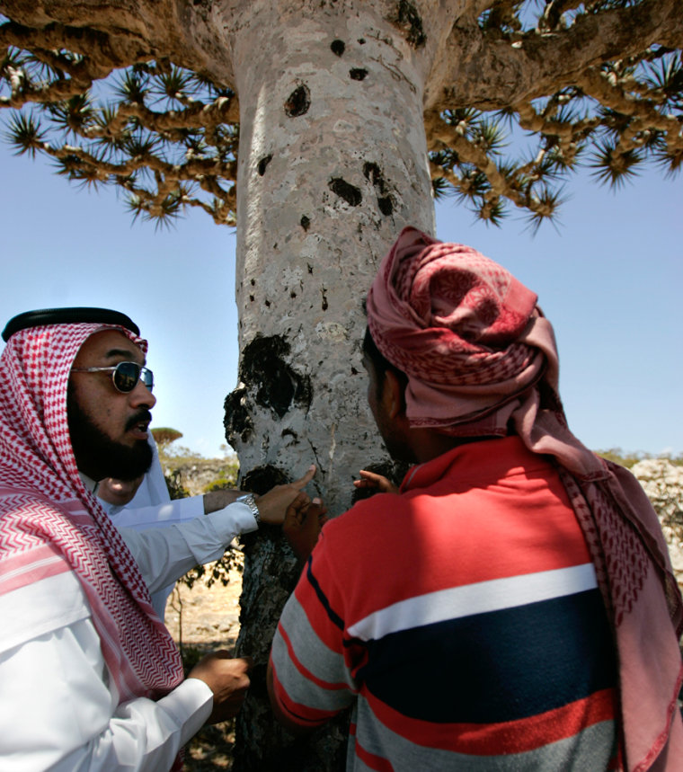 To match feature YEMEN-SOCOTRA