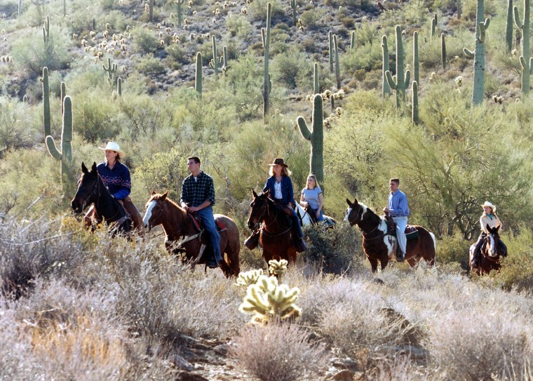 Guided horseback tours among cacti and other wildlife allow you to experience the thrilling days of the Old West while enjoying the beauty of the Sonoran Desert.