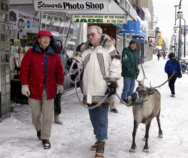 ** FILE ** Mel Leskinen, left, talks as Albert Whitehead walks his pet reindeer Star along 4th Avenue in downtown Anchorage, Alaska, Feb. 2, 2005.  Half of the nation's population thinks most of Alaska is covered in ice and snow year-round. One out of every eight believe that the 49th state is either a separate country, a U.S. territory, a commonwealth or just aren't sure. Thanks to a poll commissioned by Gov. Frank Murkowski, Alaskans know a bit better the misperceptions Americans have of their neighbors to the north. (AP Photo/Al Grillo, File)