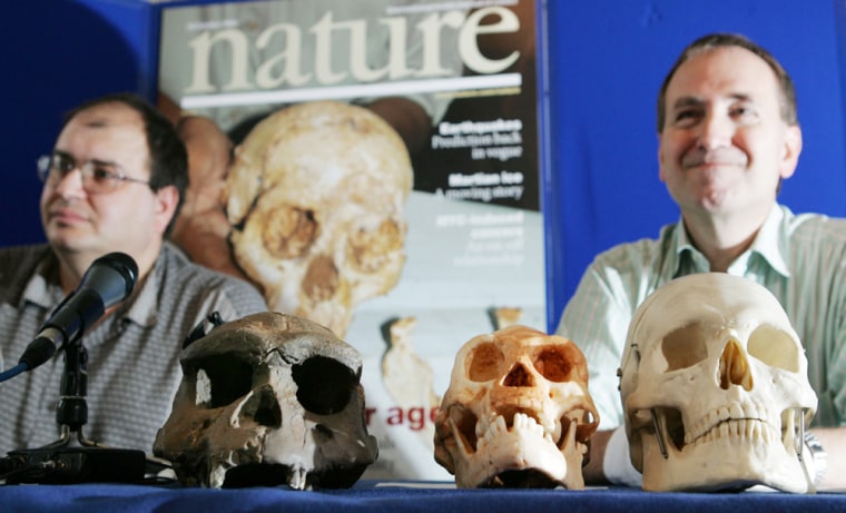 Henry Gee of Nature magazine and Professor Chris Stringer of London's Natural History Museum, discuss the findings at a news conference in London Wednesday. In front of them, from left, are a Homo erectus skull, a cast of the Homo floresiensis skull and a cast of a modern Homo sapiens skull.