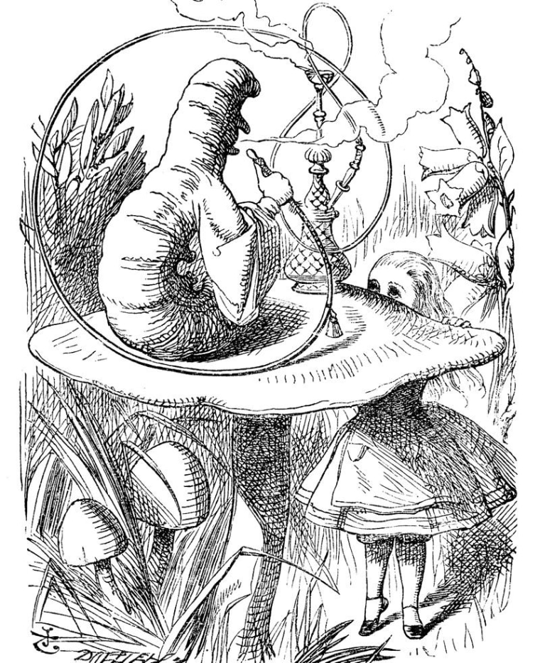 Image: Alice and caterpillar