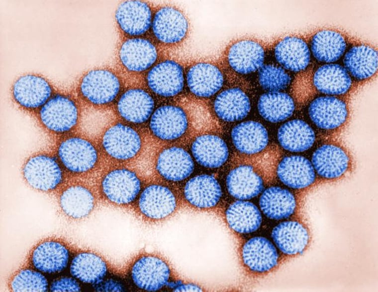 Image: Rotavirus particles