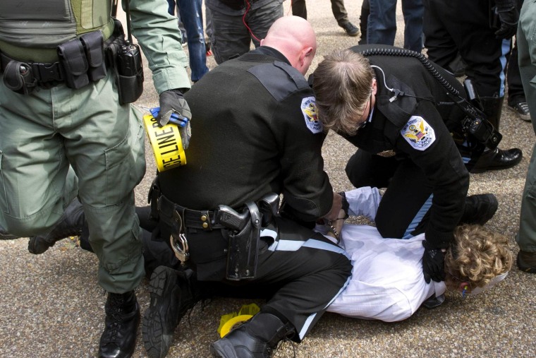 Image: US Park Police arrest a protestor during a march against corrupt governments and corporations