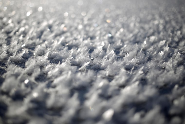 Image: Ice crystals gather atop a frozen pond on January 7, 2014 in Lawrenceburg, Kentucky.