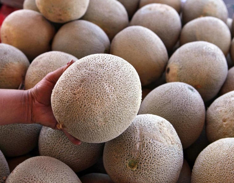 cantaloupe farm