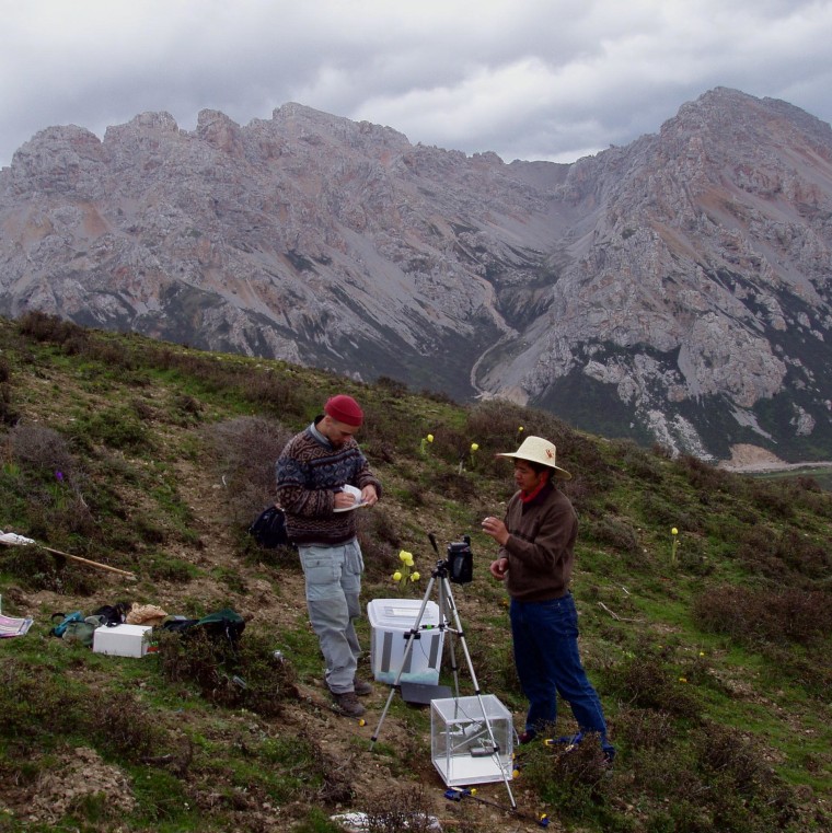 Michael Dillon, left, and Wang Yong, a graduate student at Sichuan University use a flight chamber and video camera to study bumblebee flight near BaLangShang Pass in Southwest China.