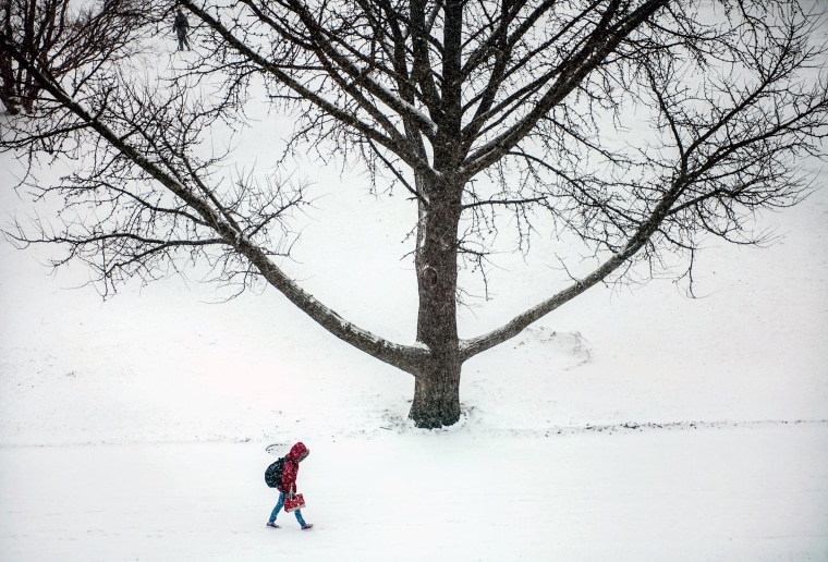 A young woman crosses the University of Illinois campus, as seen from the College of Agricultural, Consumer and Environmental Sciences Library, Information and Alumni Center, in Urbana, Ill., on Tuesday, Feb. 4, 2014.