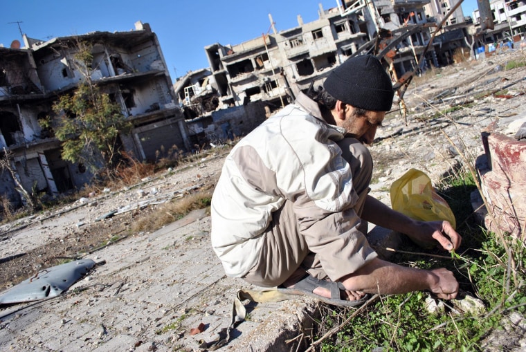 Image: A man looks for herbs to eat with his family in the heavily damaged neighborhood of Juret al-Shiyah, Homs.