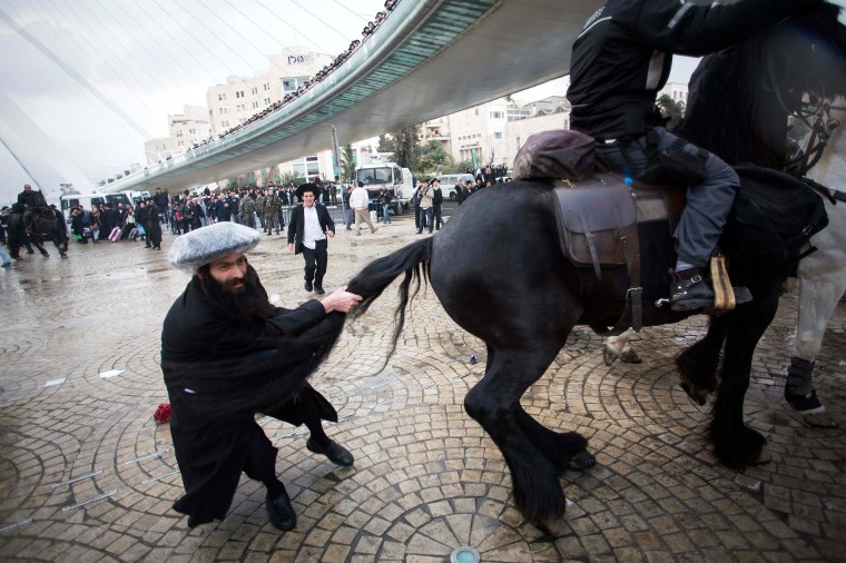 Image: An ultra-Orthodox Jewish protester pulls the tail of a horse used by policemen to disperse protesters during a demonstration in Jerusalem