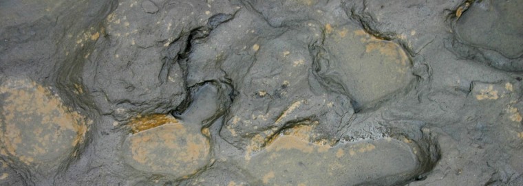 Image: Undated handout photo issued by the British Museum Friday Feb.  7, 2014 of some of the  human footprints, thought to be more than 800,000 years old, found in silt on the beach at Happisburgh on the Norfolk coast of England, with a camera lens cap l