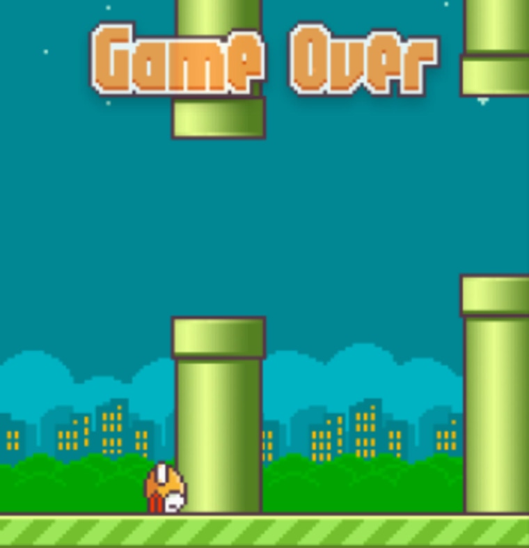 Image: Gameplay in the Flappy Birds app