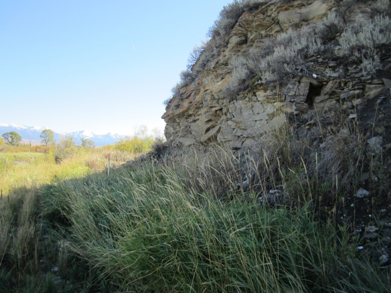 At the Anzick site, a pole marks location where the burial was found.