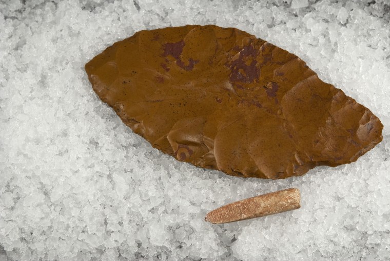 A large biface made of brown chert along with the beveled end of an osseous rod.