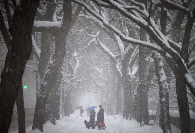 Image: People walk along 5th Avenue at Central Park as it snows in New York