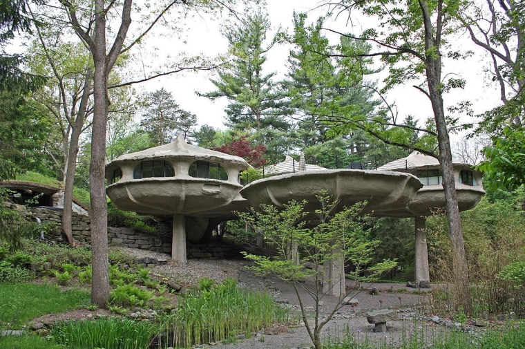 Five interconnected pods make up the Mushroom Home.