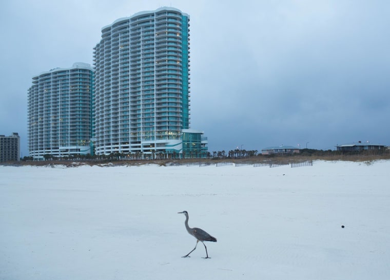 Image: The Turquoise Place condominium buildings rise above Orange Beach, Ala. 