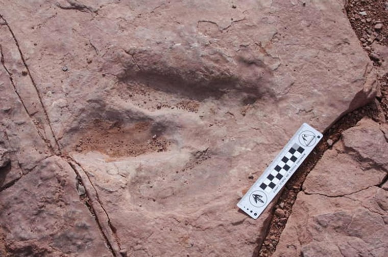 The Bureau of Land Management is investigating the theft of a dinosaur track, seen here, from a popular trail near Moab, Utah.