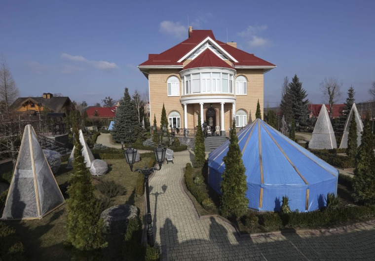 Image: A general view shows the house of Ukraine's former prosecutor general Pshonka in the village of Gorenichy outside Kiev