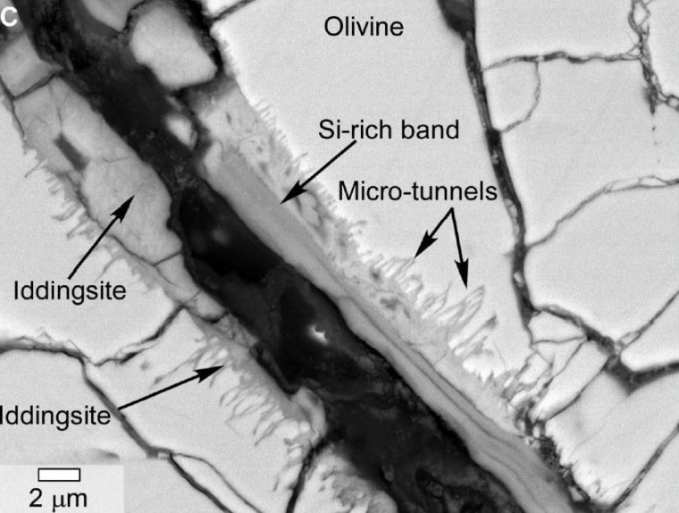 Image: Microtunnels