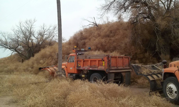 Tumbleweeds Are Piling Up Across the Plains - The New York Times