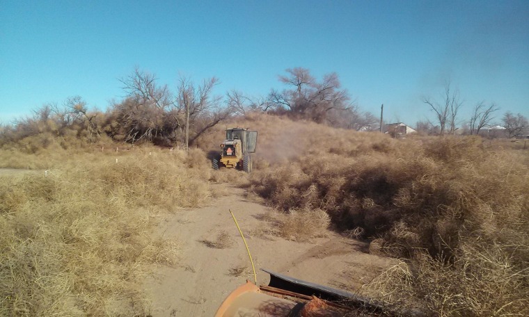 Snowplows attempt to clear a path to a rancher blockaded by piles of tumbleweeds in Crowley County, Colorado.