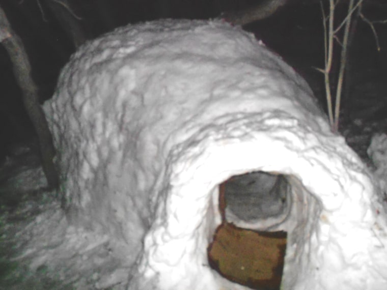 An igloo found on campus at the University of Utah, where students suspected of using it as a marijuana den were found