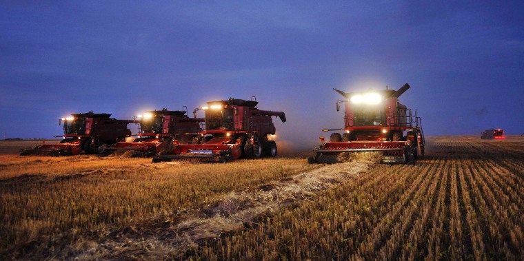 Image: Combine harvesters harvest wheat