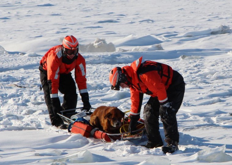 Image: Cutter Bristol Bay assists dog stranded on Lake St. Clair