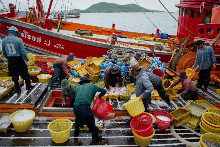 Migrant laborers sorting fish as they work on a Thai fishing boat