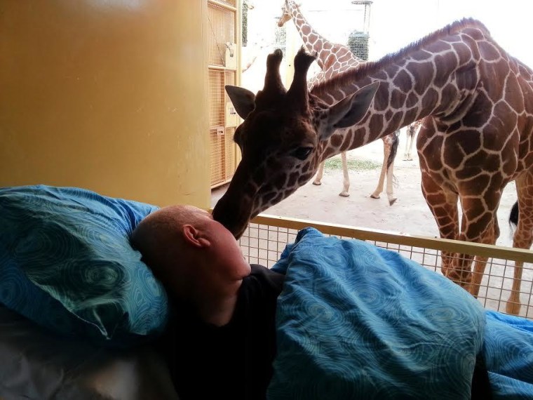 7  داستان  براي  خامه گرفته  :  زرافه  Kisses  مردن  Zookeeper  Goodbye