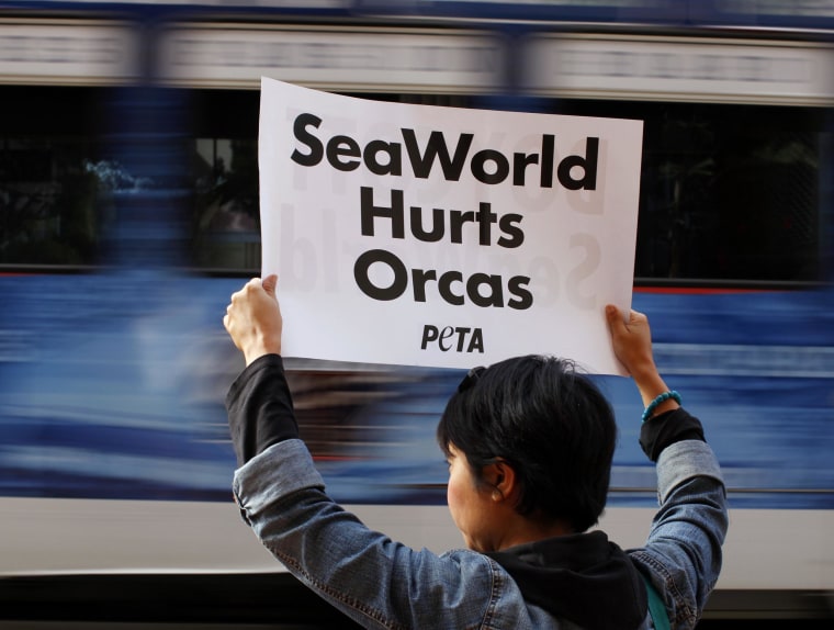 Image: A protester for PETA holds up a sign as a street car passes, during a rally protesting against the city council's plan to honor SeaWorld San Diego for it's 50th anniversary, outside city hall in San Diego