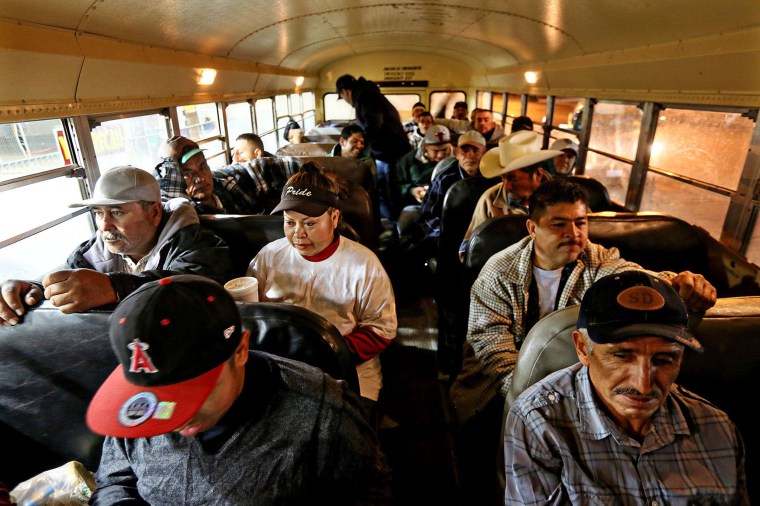 Image: Mexican agricultural workers are bussed to U.S. fields