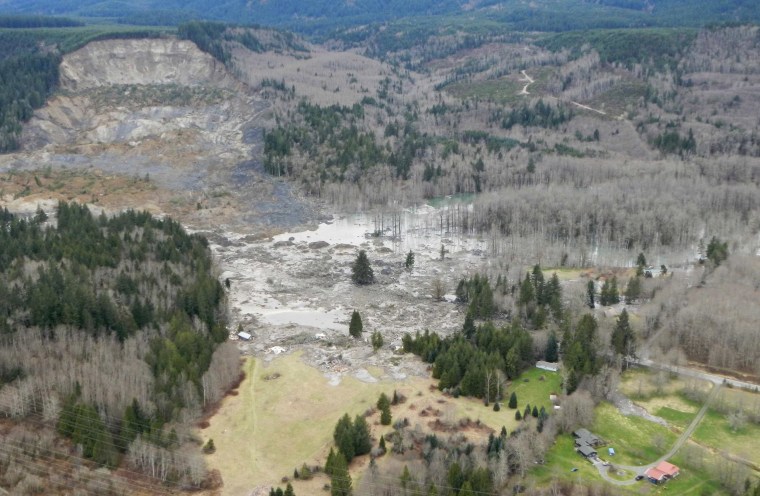 Image: A general view of the area affected by a landslide near Oso, Washington