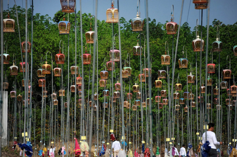 Image: Hanging bird cages are displayed on poles during a bird-singing contest