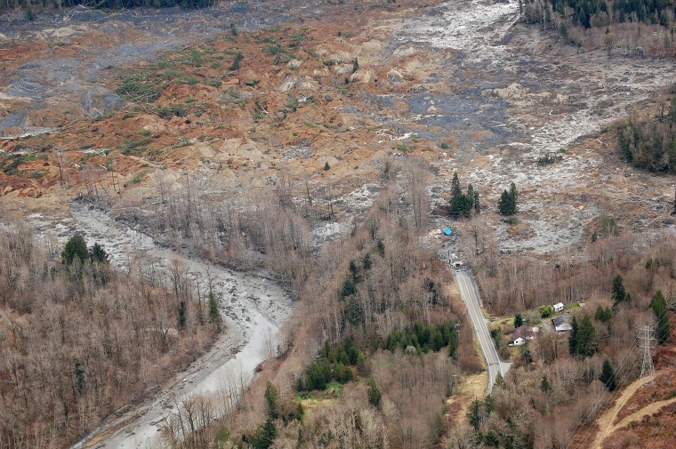 Image: Washington mudslide