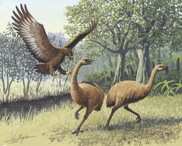Image: Eagle attacking two New Zealand moa