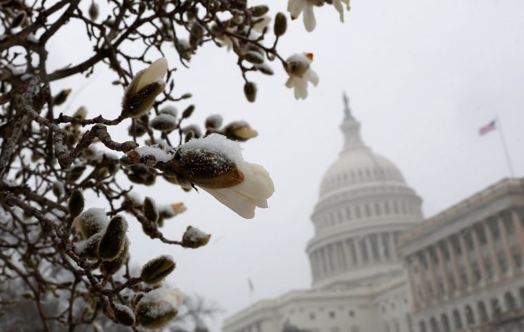 Image: Spring Snowstorm Brings Winter Weather Back To Northeast