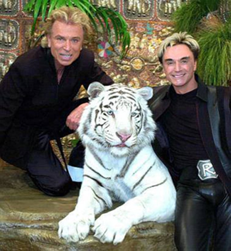 Tiger That Attacked 'Siegfried and Roy' Star Dies