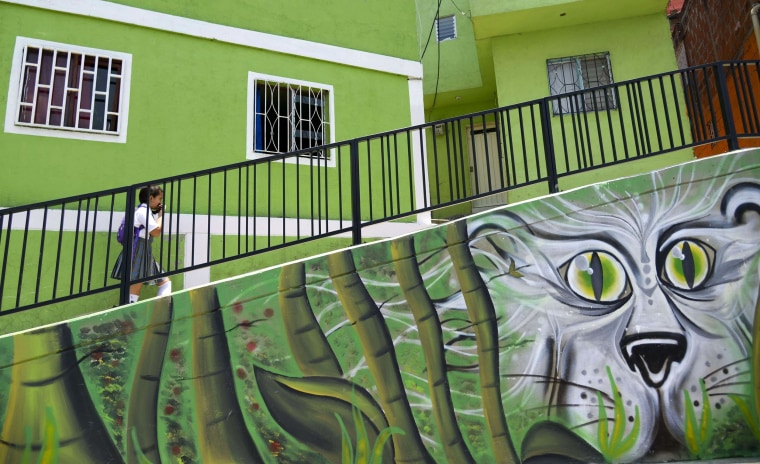 Image: A students walks past a mural, part of the project 'Medellin is painted for life,' at Comuna 13  in Medellin