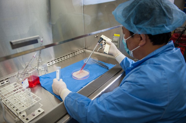 Dr. Yuanyuan Zhang, an assistant professor at the Wake Forest Institute for Regenerative Medicine, demonstrates the process to engineer a laboratory-grown vagina. 