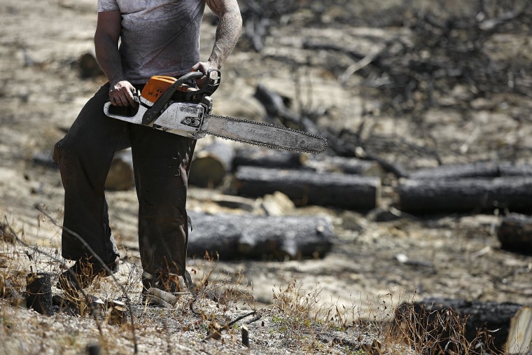 Image: Black Forest Fire aftermath and rebuilding