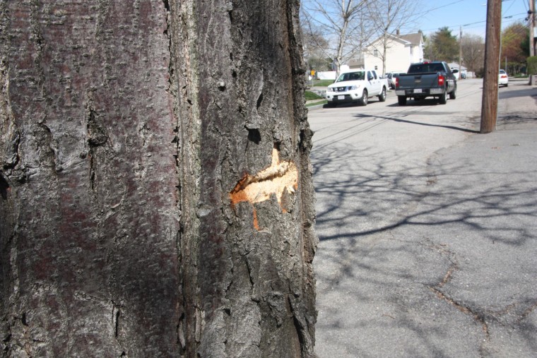 Image: A bullet scar in the Watertown neighborhood