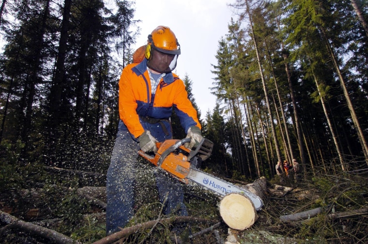 It's dangerous and the pay isn't great. Lumberjack was named the worst job for 2014. 