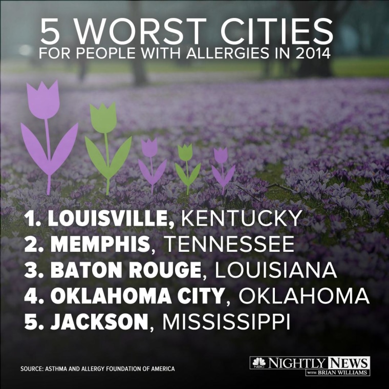 Infographic Top Five Worst Cities for Allergy Sufferers